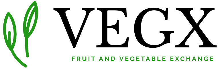 Logo VegX