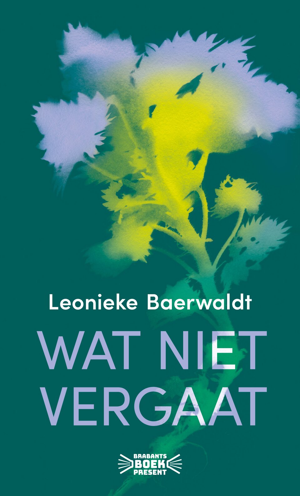 Cover van het de novelle Wat niet vergaat van Leonieke Baerwaldt