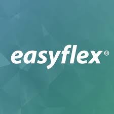 Logo easyflex